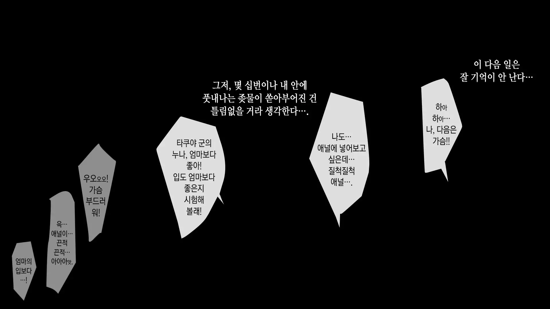 Otoshidama De Onee-Chan O Kattemita | 세뱃돈으로 누나를 사보았다